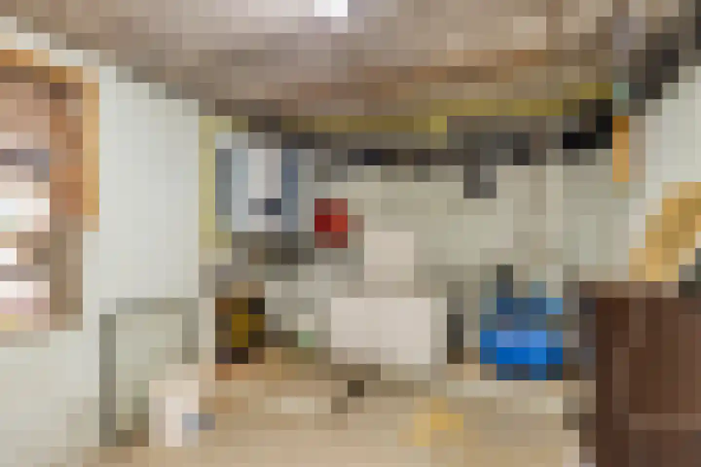 Klein Belgie 66 Vijfhuizen thumbnail 20