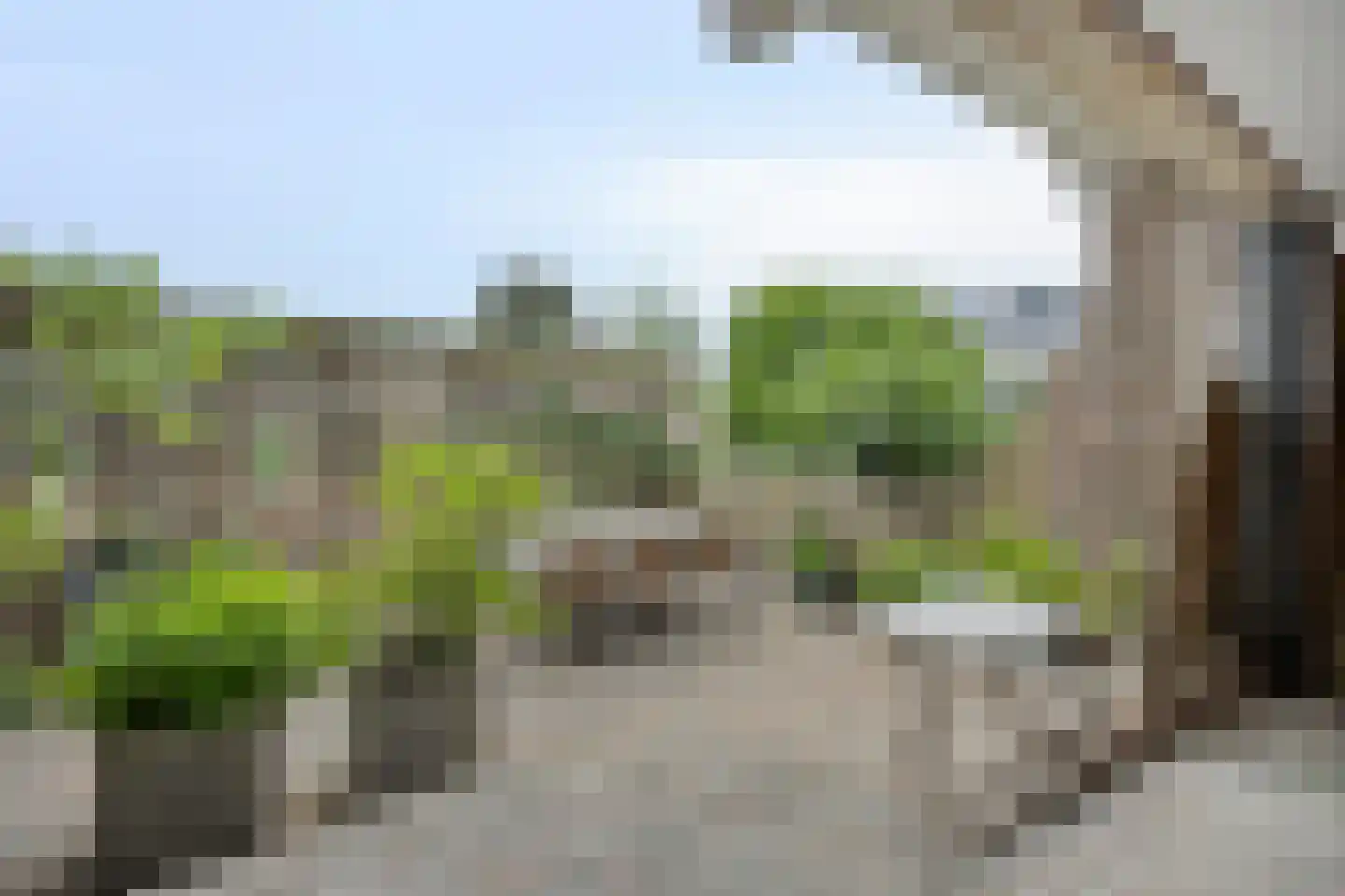 Klein Belgie 66 Vijfhuizen thumbnail 22