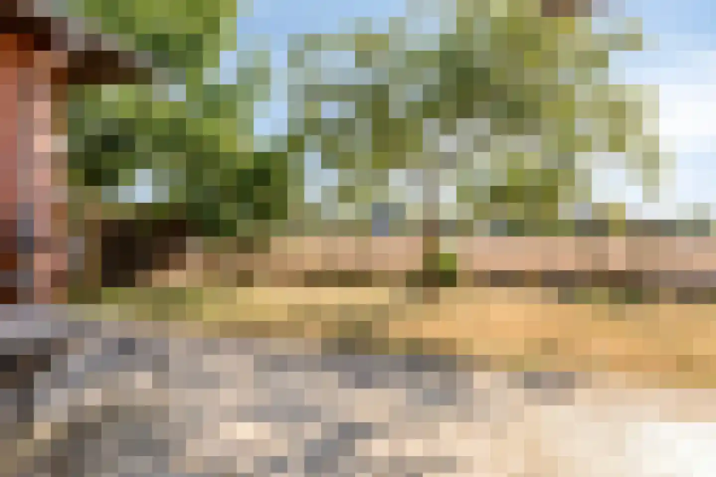 Klein Belgie 66 Vijfhuizen thumbnail 22