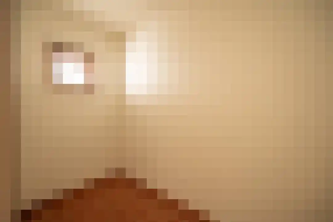 Klein Belgie 66 Vijfhuizen thumbnail 23