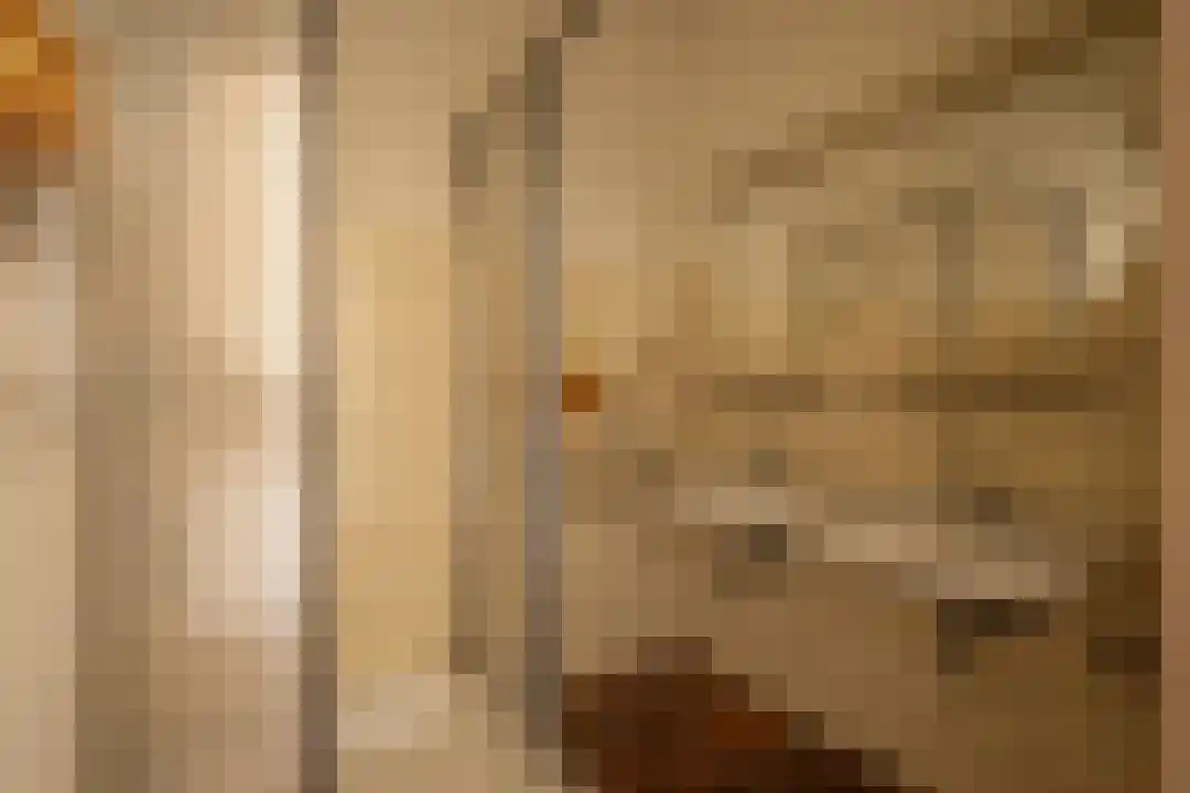 Klein Belgie 66 Vijfhuizen thumbnail 24