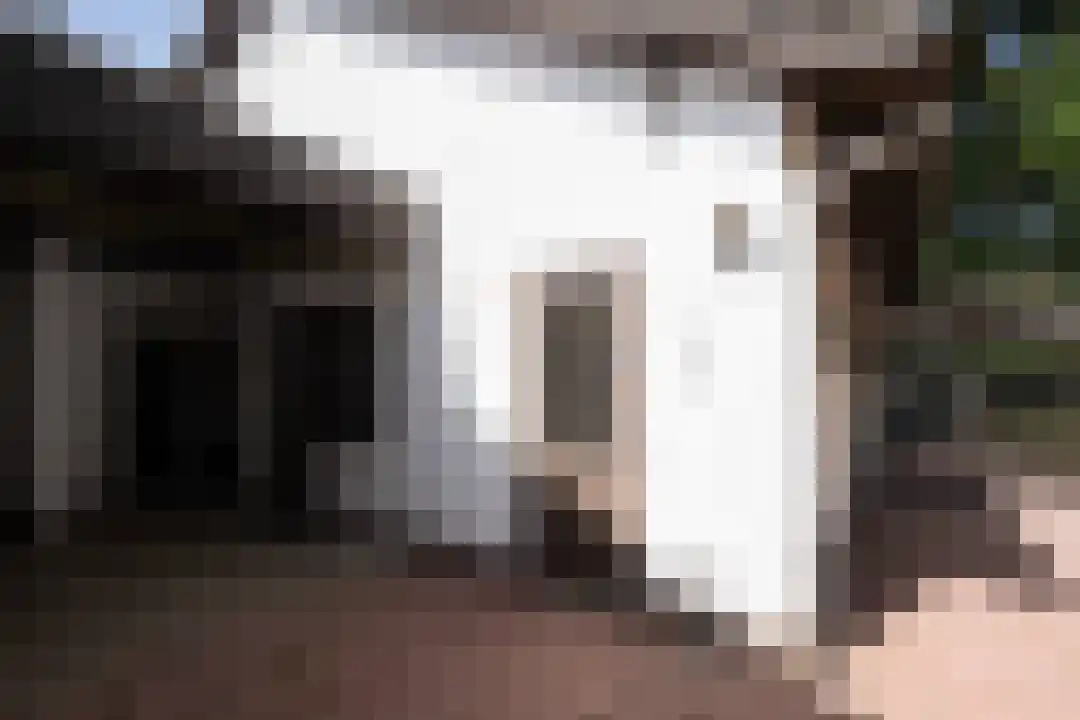 Klein Belgie 66 Vijfhuizen thumbnail 25