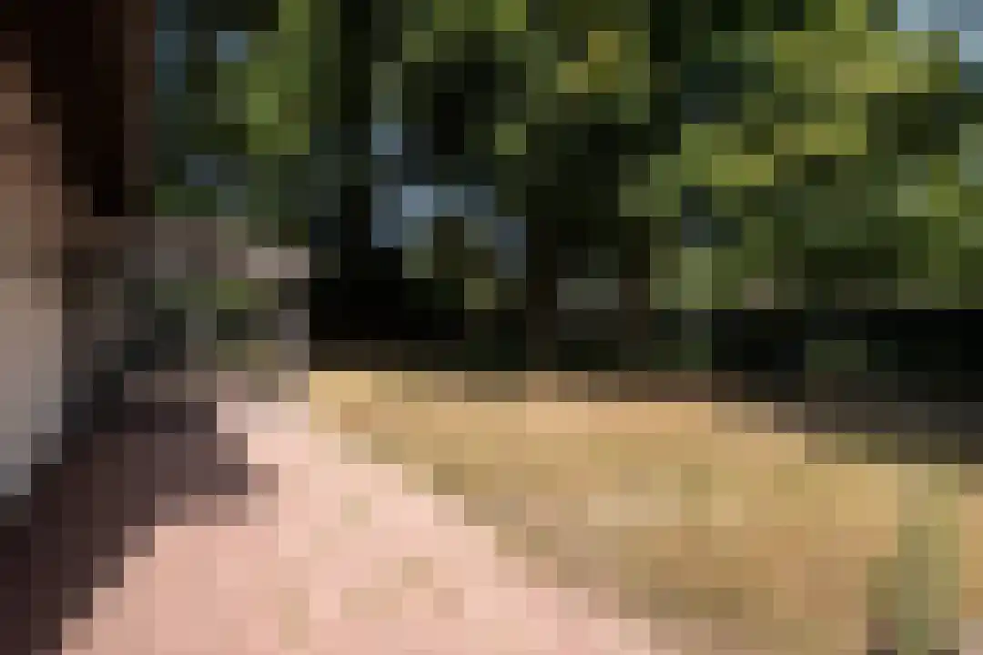 Klein Belgie 66 Vijfhuizen thumbnail 26