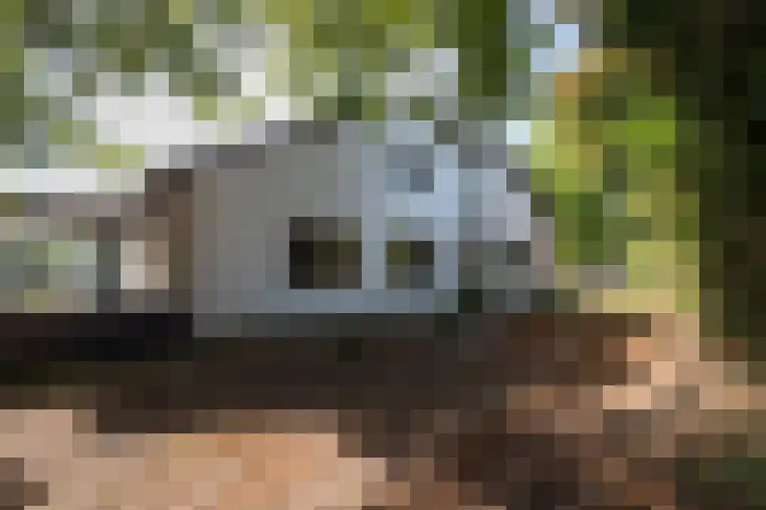 Klein Belgie 66 Vijfhuizen thumbnail 28