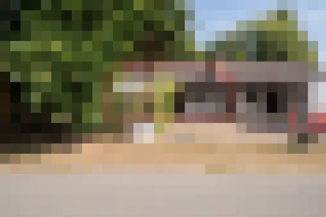 Klein Belgie 66 Vijfhuizen thumbnail 4