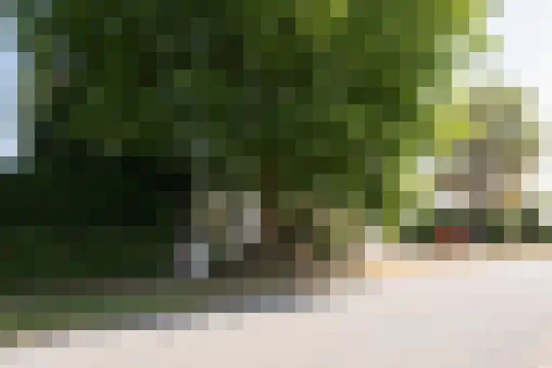 Klein Belgie 66 Vijfhuizen thumbnail 5