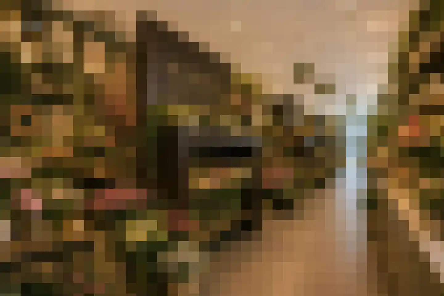 Klein Belgie 66 Vijfhuizen thumbnail 5