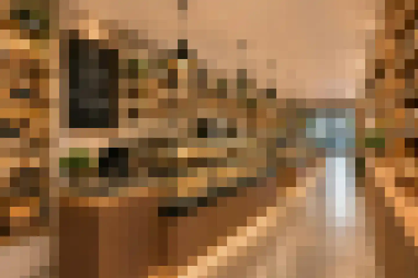 Klein Belgie 66 Vijfhuizen thumbnail 6