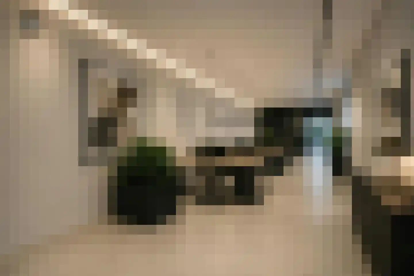 Klein Belgie 66 Vijfhuizen thumbnail 7
