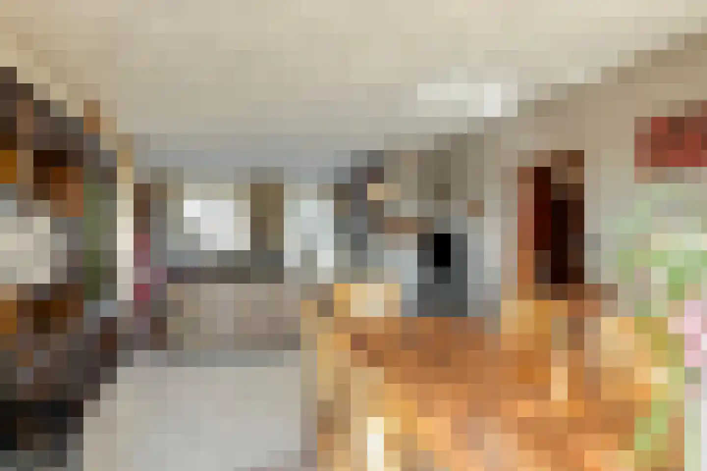 Klein Belgie 66 Vijfhuizen thumbnail 8