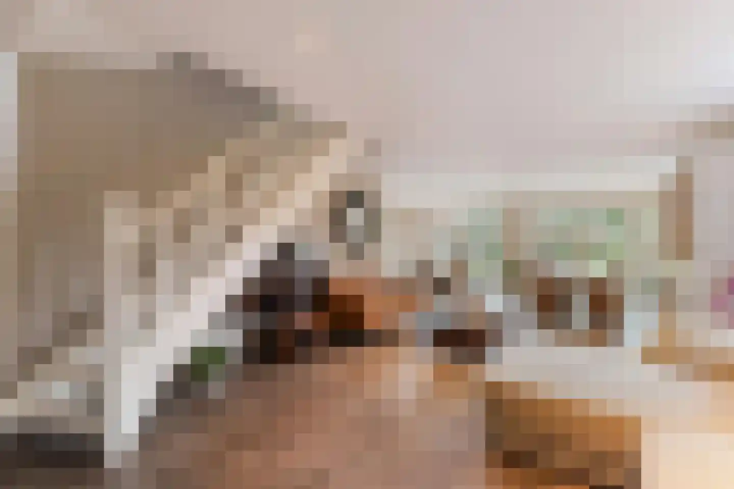 Klein Belgie 69 Vijfhuizen thumbnail 10