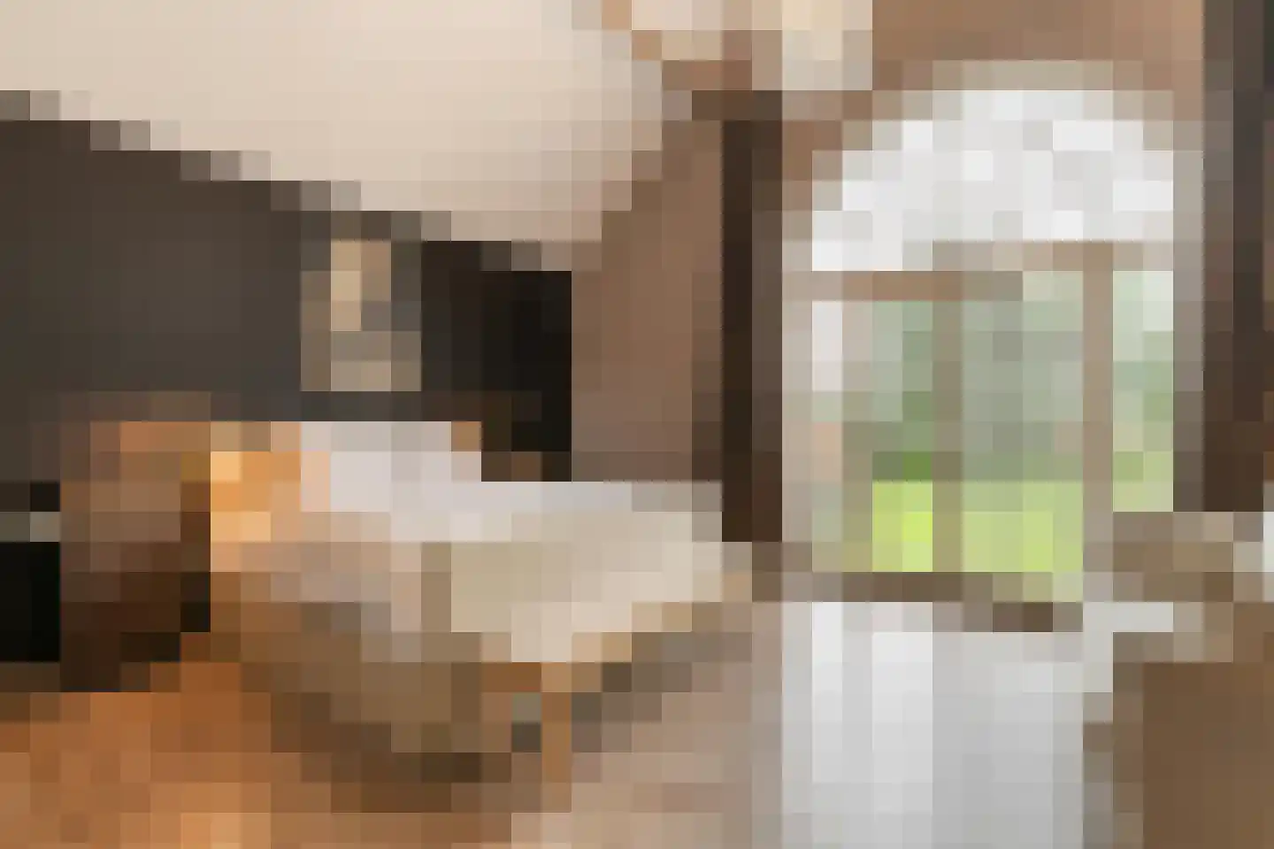 Klein Belgie 69 Vijfhuizen thumbnail 11
