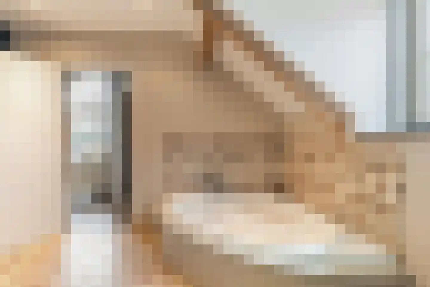 Klein Belgie 69 Vijfhuizen thumbnail 13
