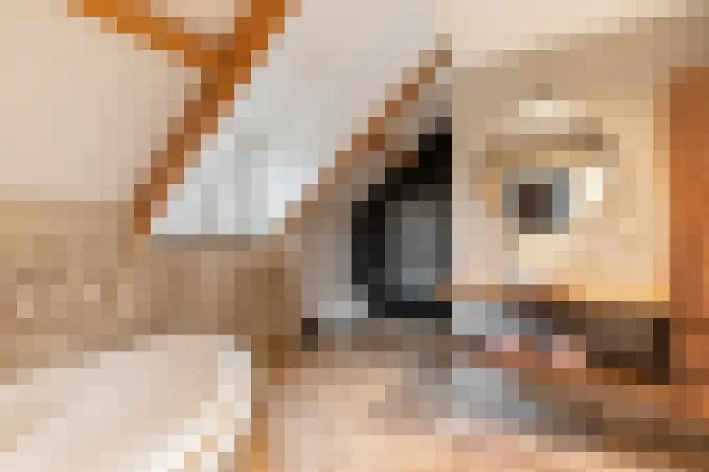 Klein Belgie 69 Vijfhuizen thumbnail 14
