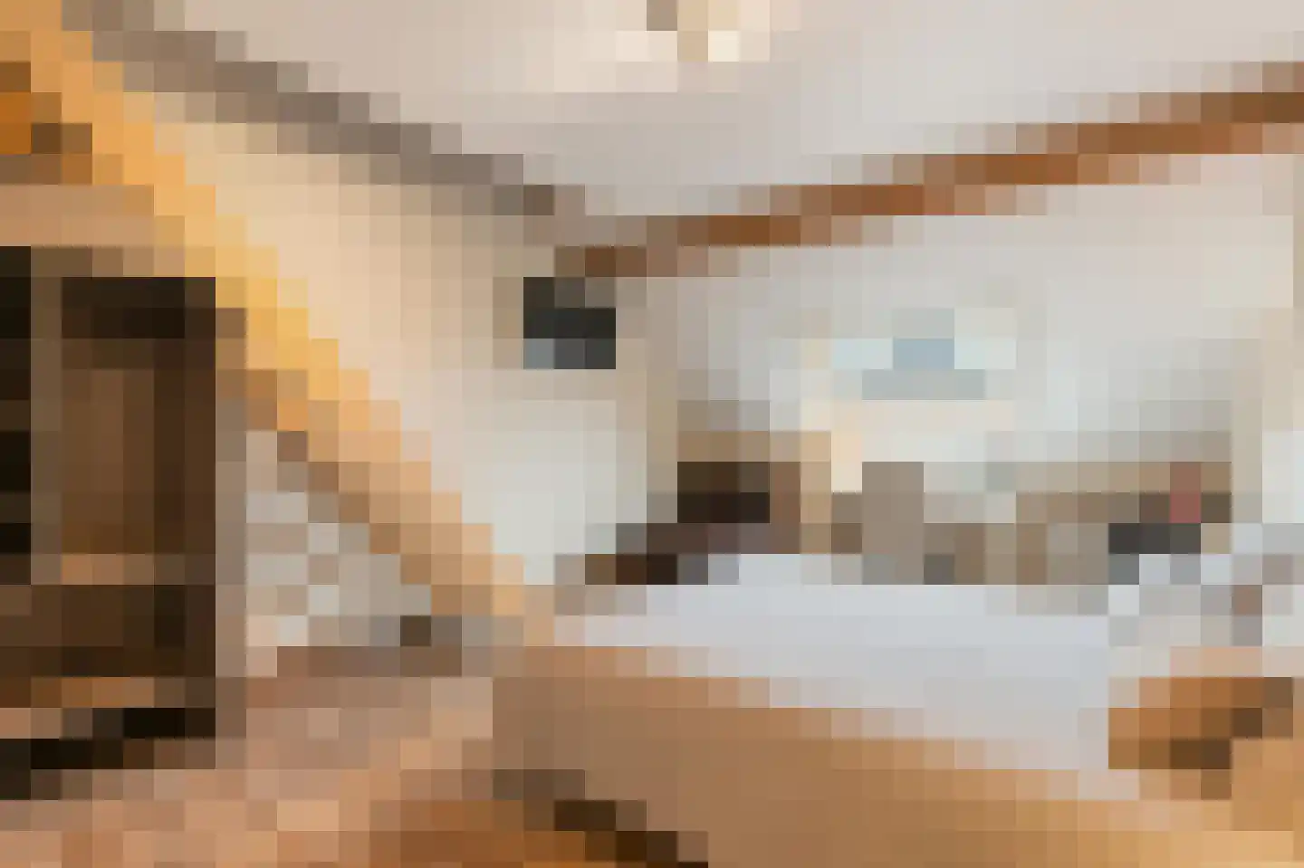 Klein Belgie 69 Vijfhuizen thumbnail 15