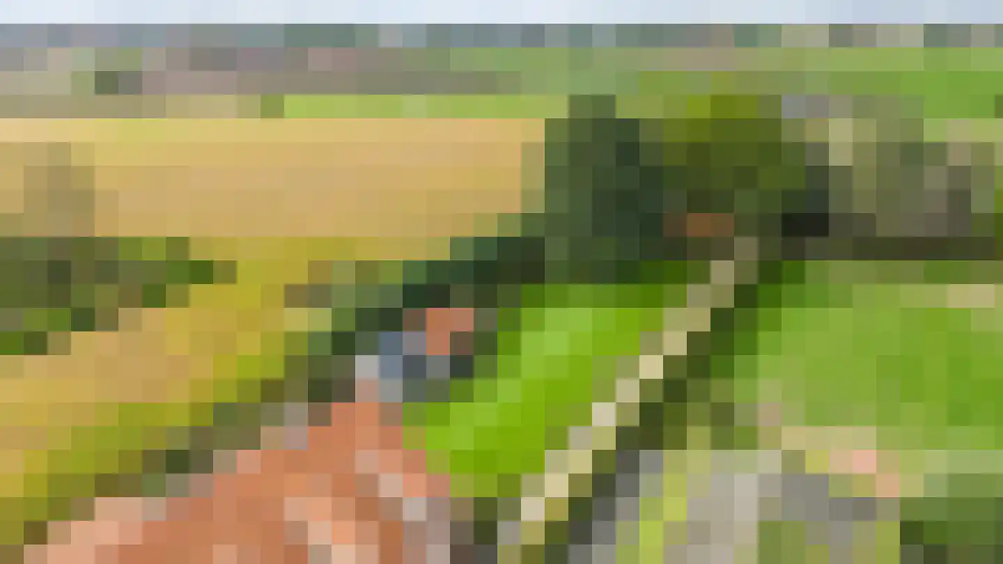 Klein Belgie 69 Vijfhuizen thumbnail 18
