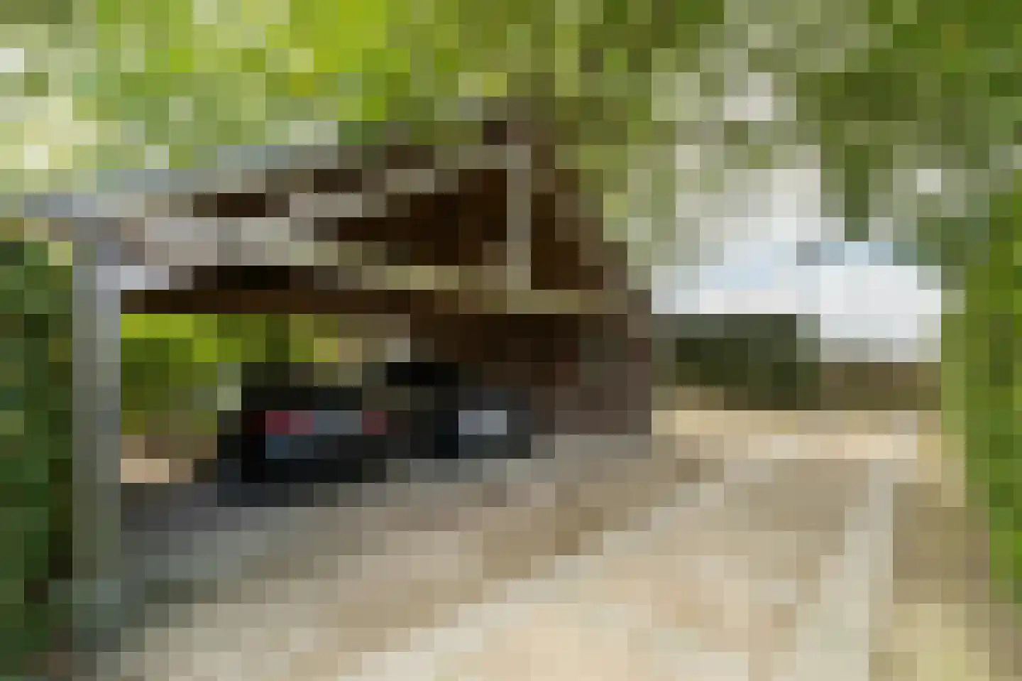 Klein Belgie 69 Vijfhuizen thumbnail 19