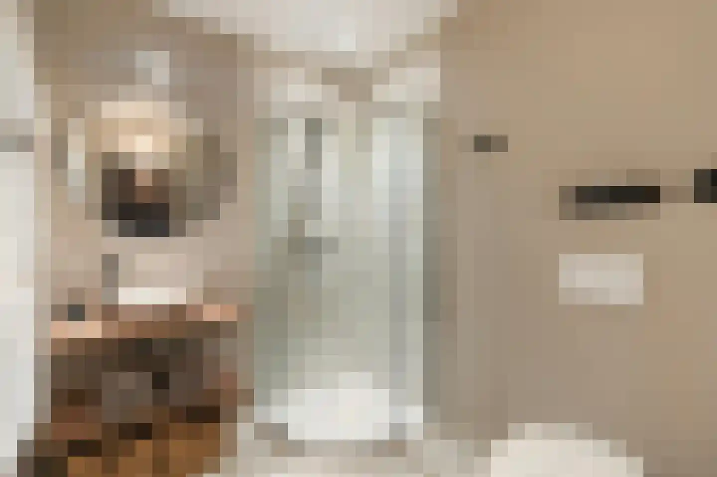 Klein Belgie 69 Vijfhuizen thumbnail 27