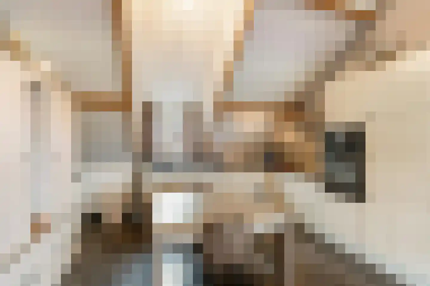 Klein Belgie 69 Vijfhuizen thumbnail 35