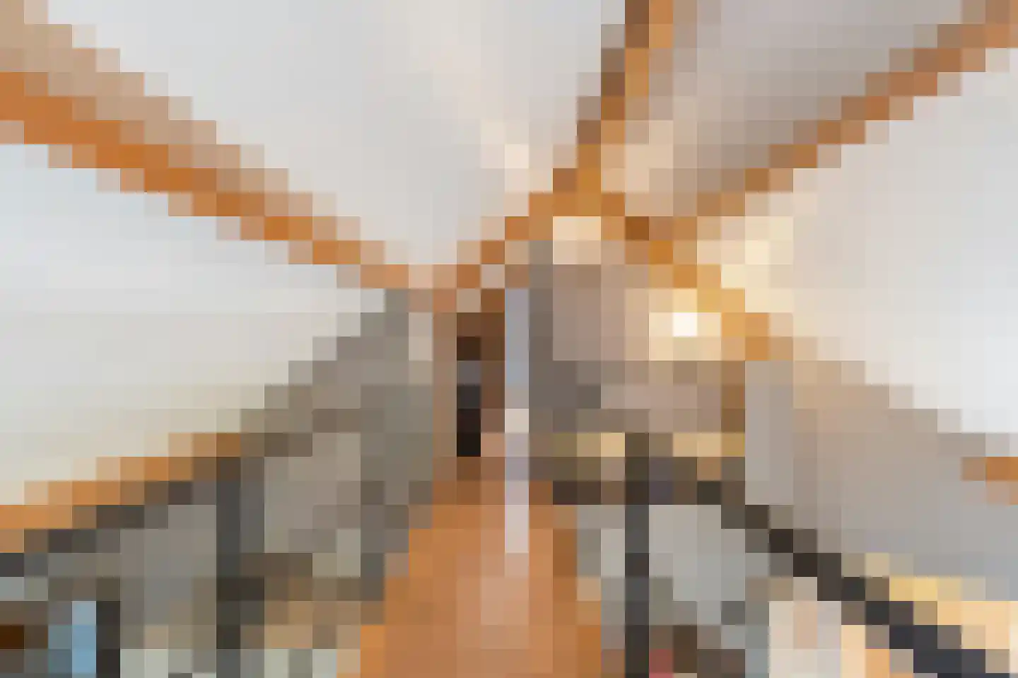Klein Belgie 69 Vijfhuizen thumbnail 38