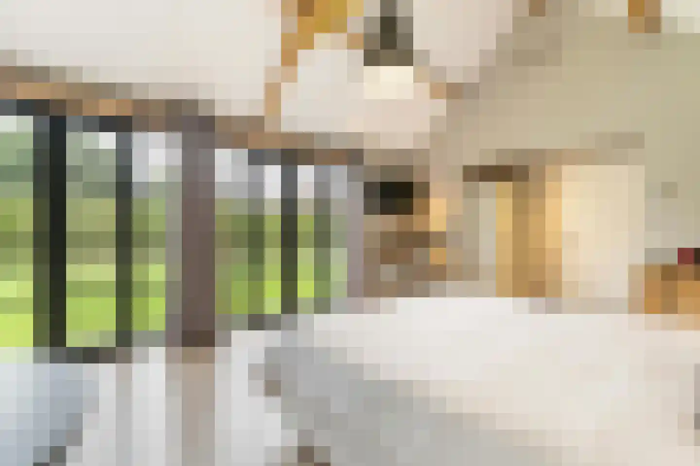 Klein Belgie 69 Vijfhuizen thumbnail 40
