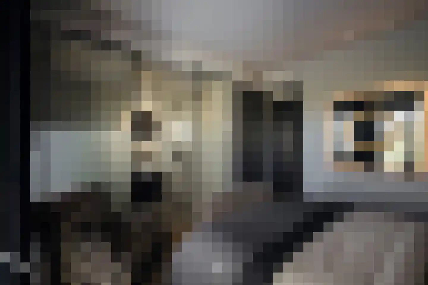 Klein Belgie 7 51 Vijfhuizen thumbnail 13