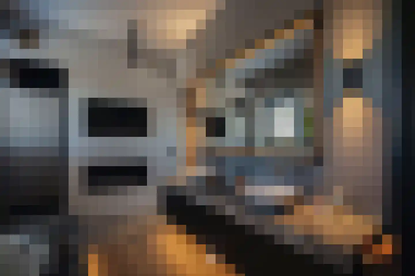 Klein Belgie 7 51 Vijfhuizen thumbnail 21