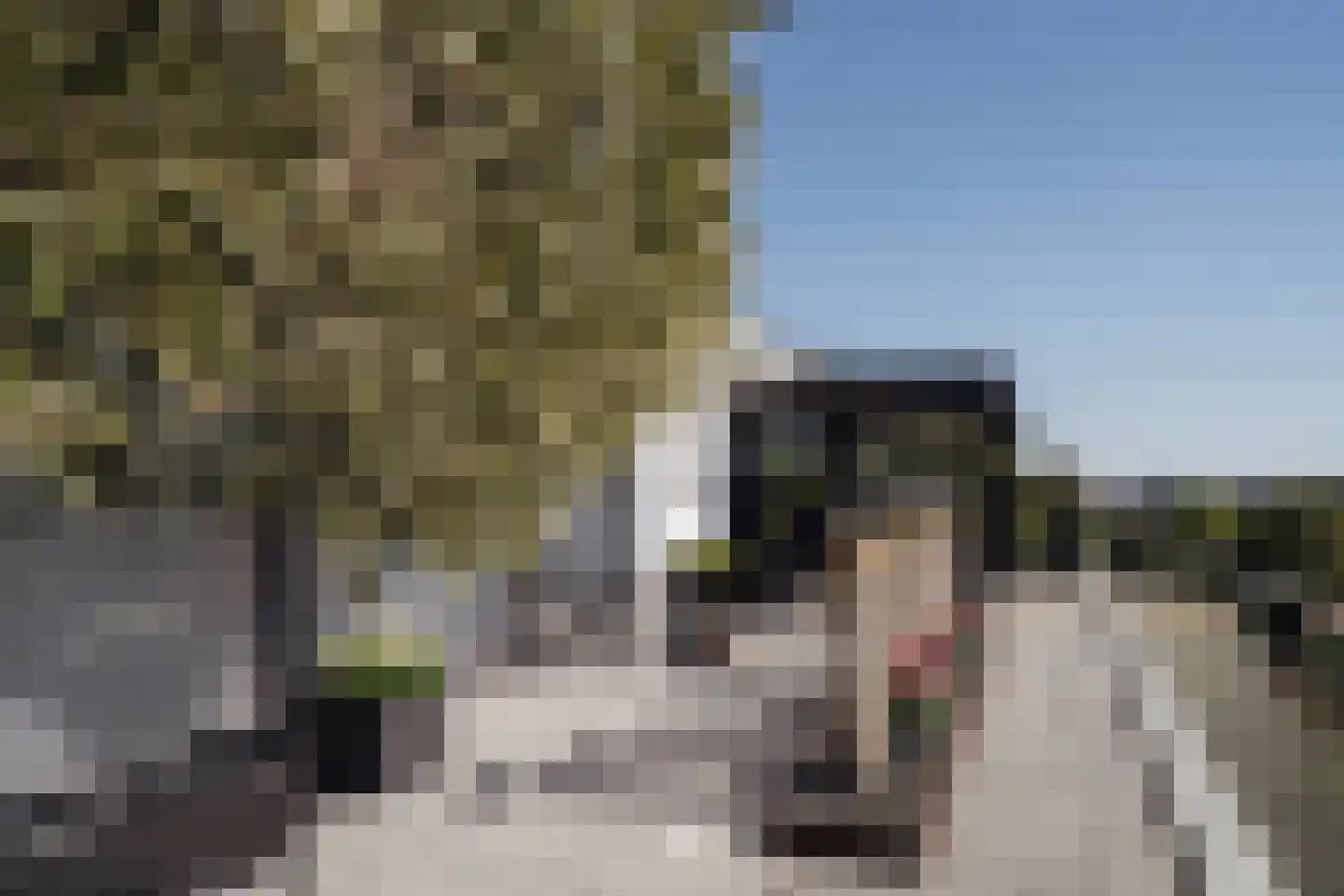 Klein Belgie 7 51 Vijfhuizen thumbnail 32
