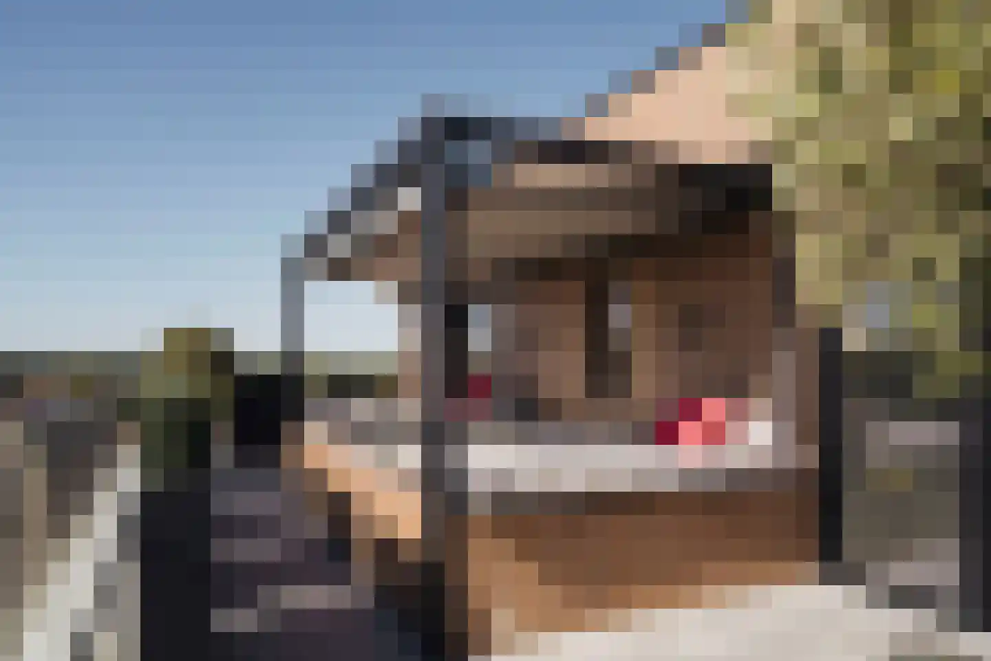 Klein Belgie 7 51 Vijfhuizen thumbnail 6