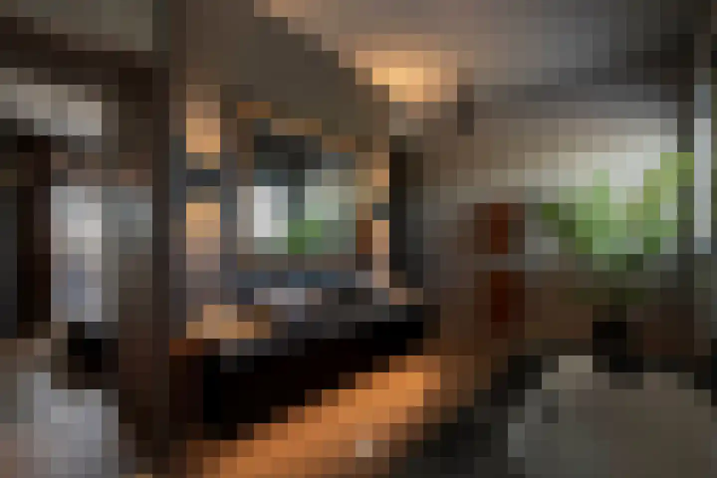 Klein Belgie 7 51 Vijfhuizen thumbnail 9