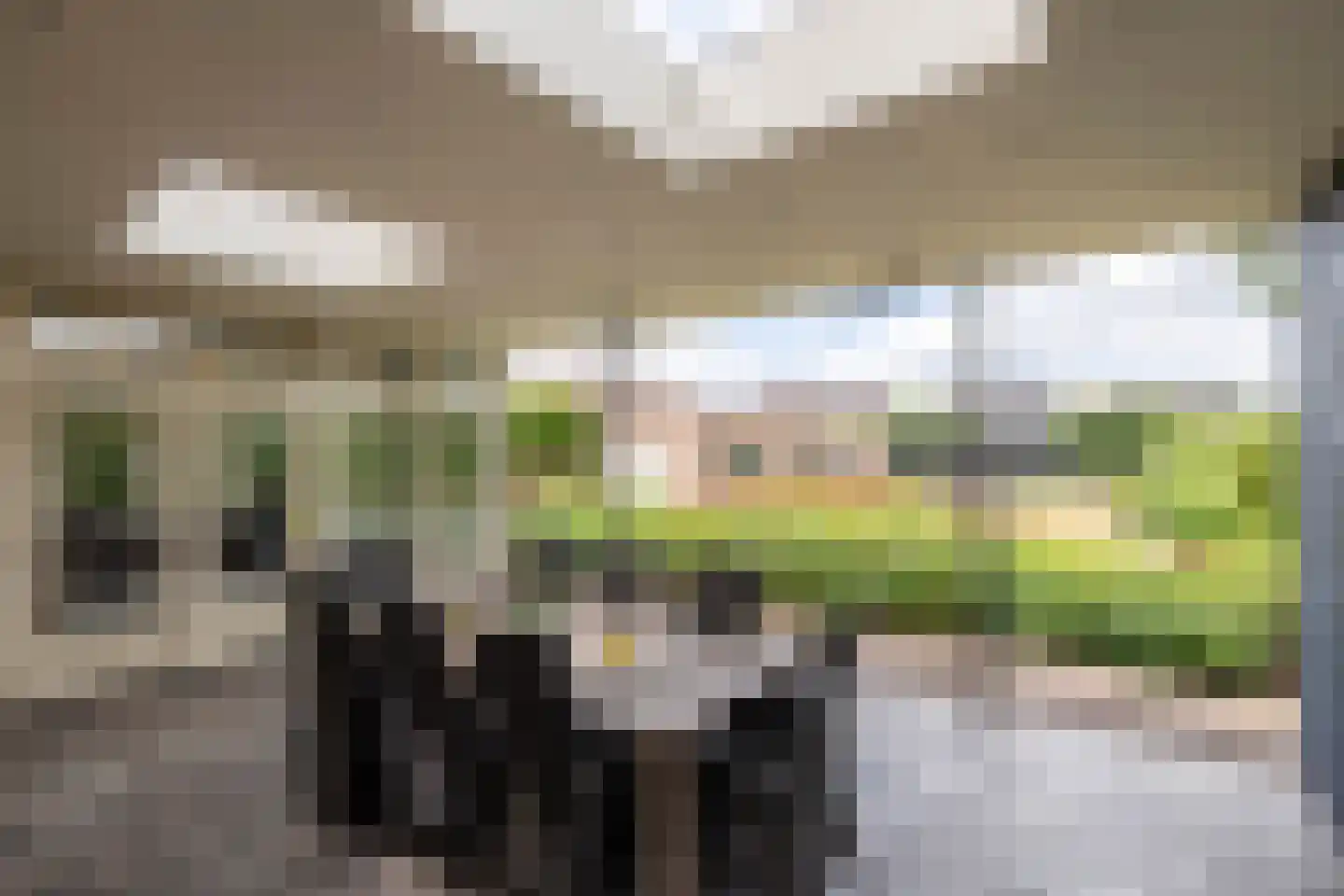 Klein Belgie 7 B Vijfhuizen thumbnail 12