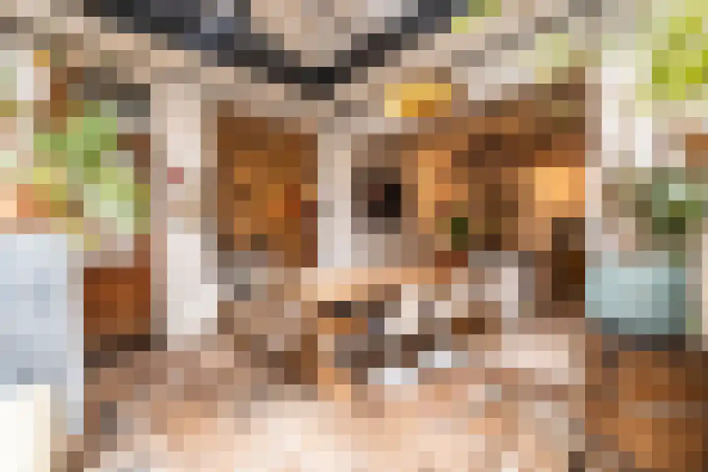 Klein Belgie 7 Vijfhuizen thumbnail 10