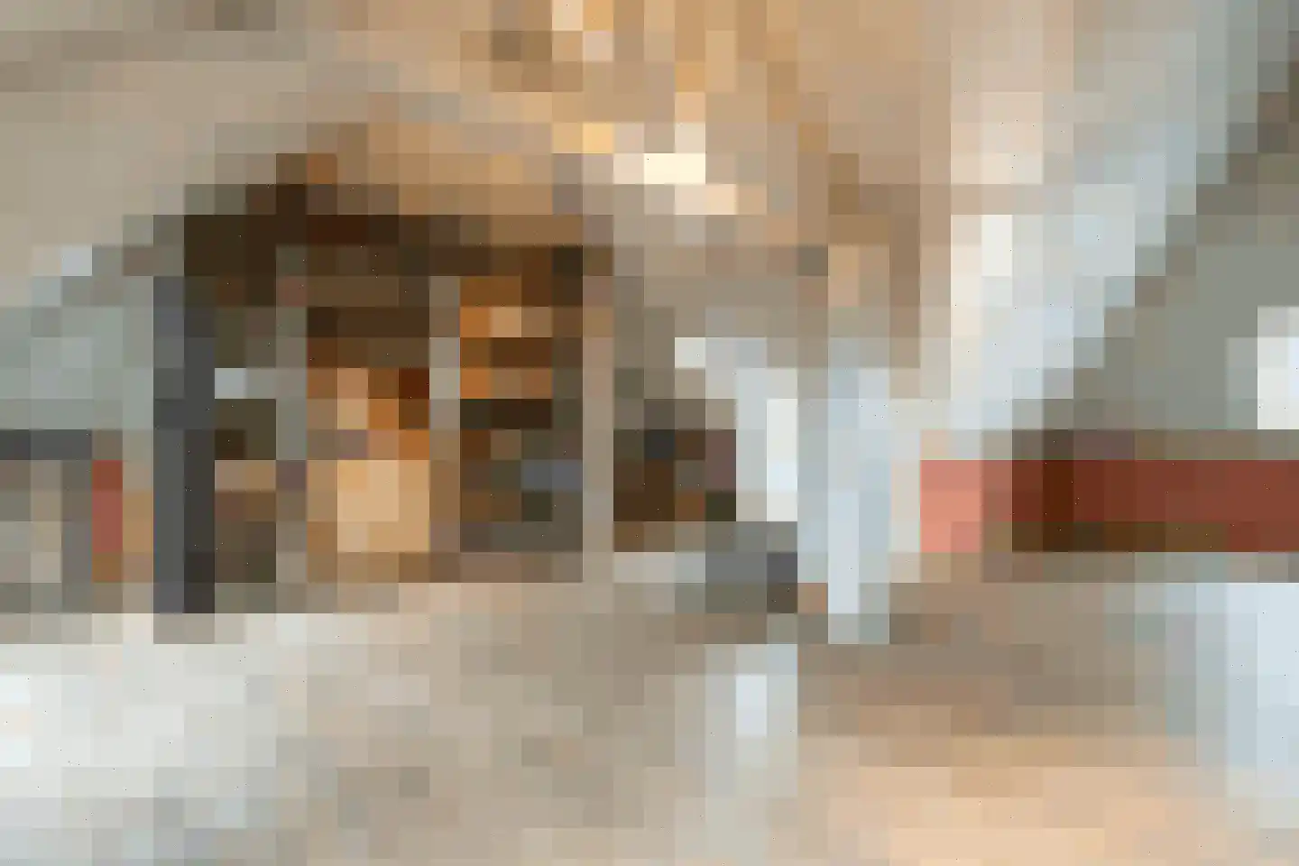 Klein Belgie 7 Vijfhuizen thumbnail 23