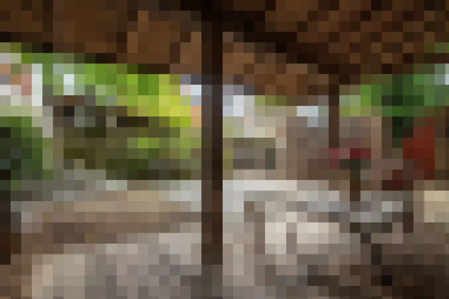 Klein Belgie 7 Vijfhuizen thumbnail 31