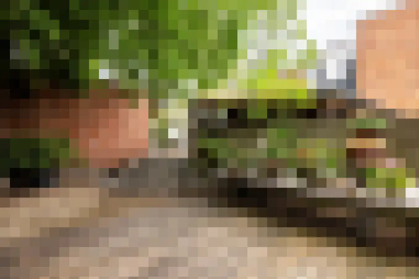 Klein Belgie 7 Vijfhuizen thumbnail 32