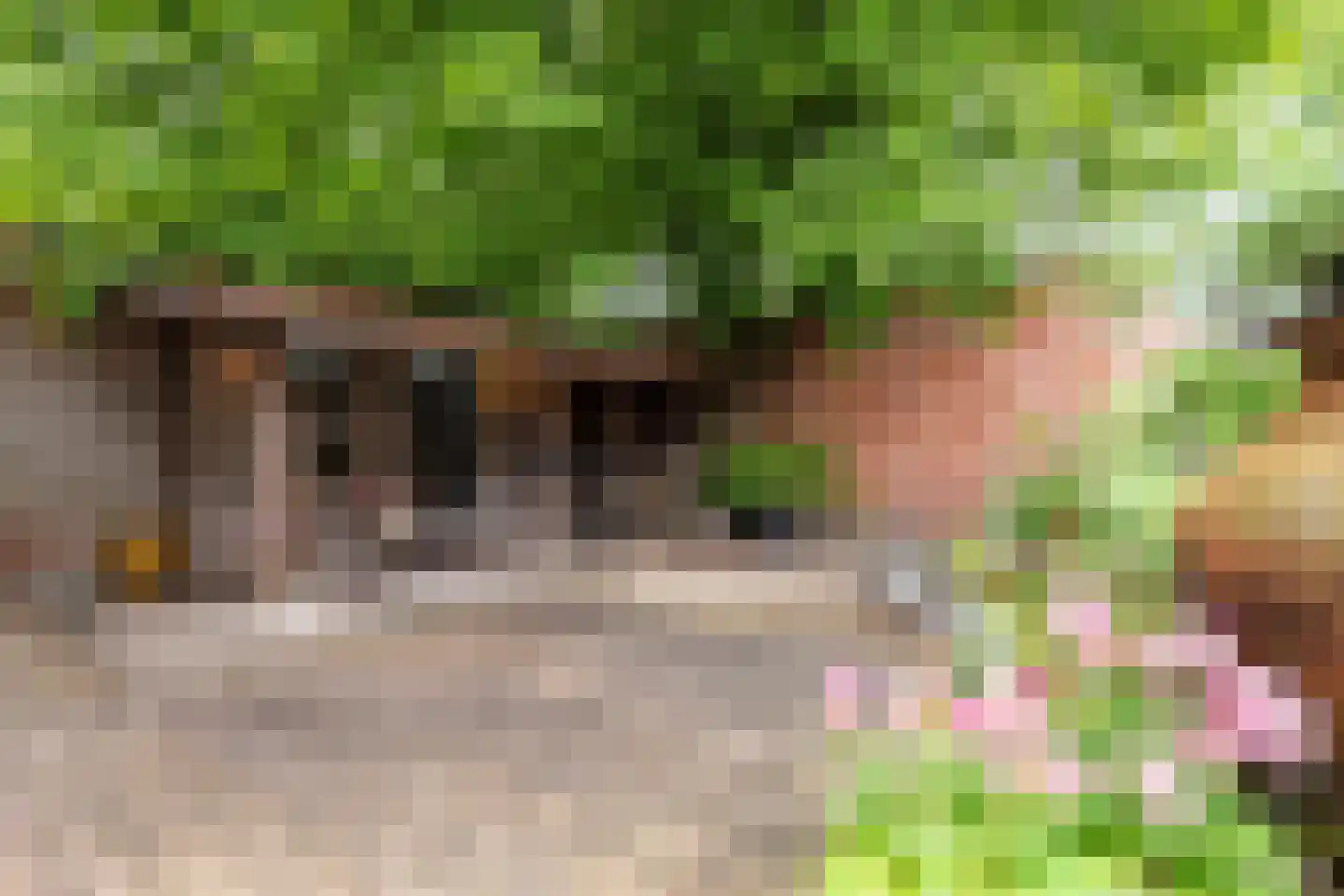 Klein Belgie 7 Vijfhuizen thumbnail 33