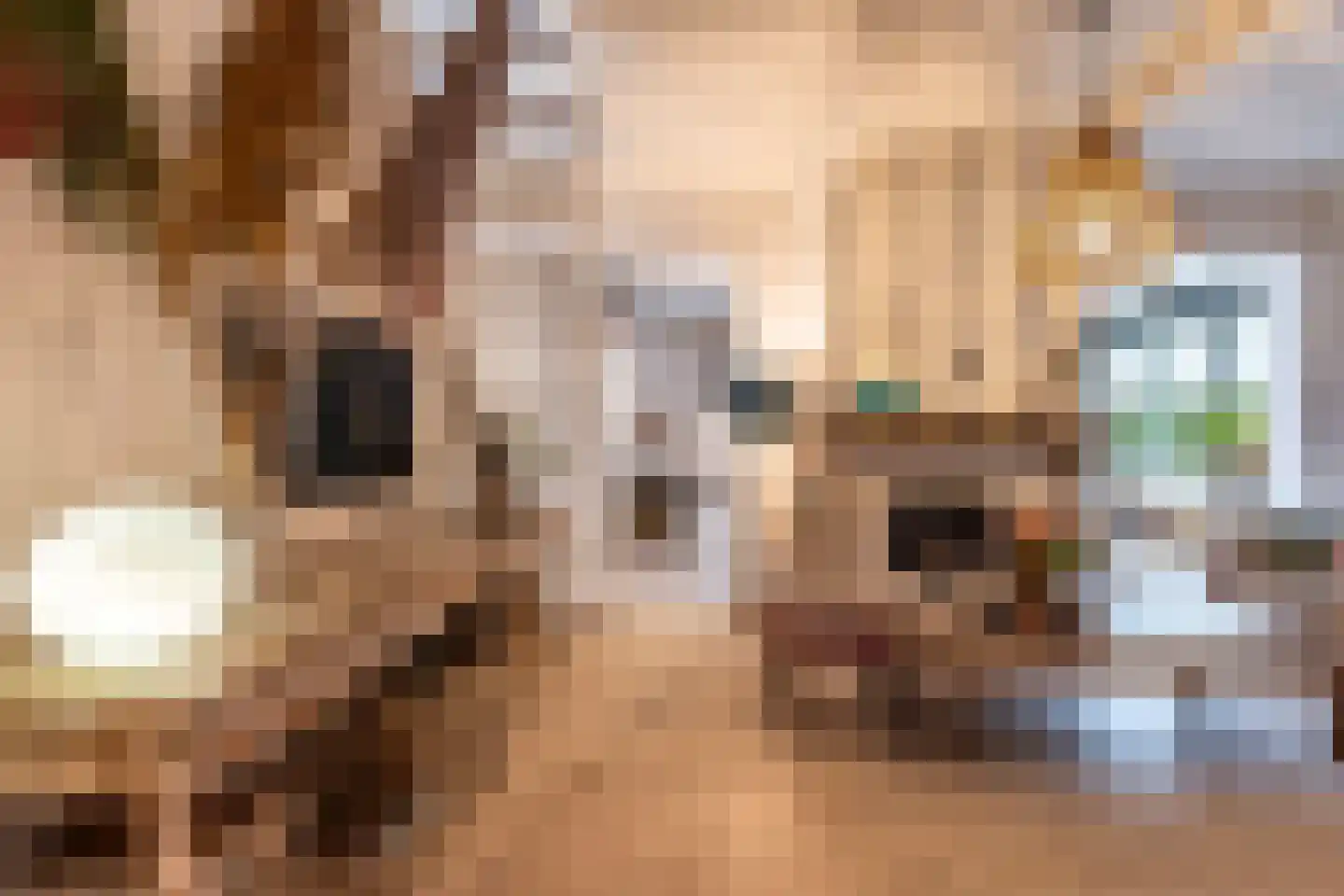 Klein Belgie 7 Vijfhuizen thumbnail 5