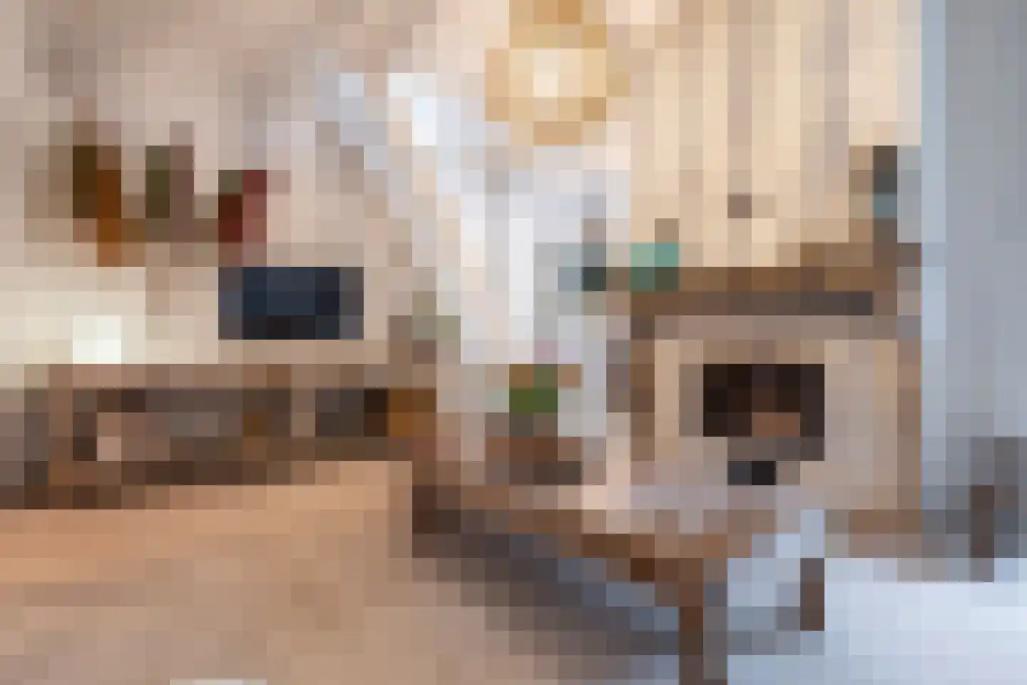 Klein Belgie 7 Vijfhuizen thumbnail 7