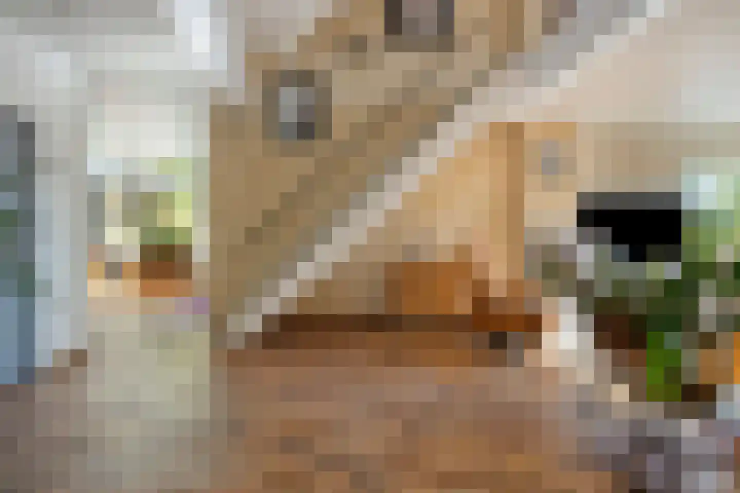 Klein Belgie 73 B1 Vijfhuizen thumbnail 10