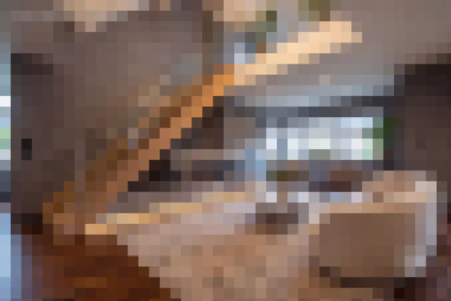 Klein Belgie 73 B1 Vijfhuizen thumbnail 16