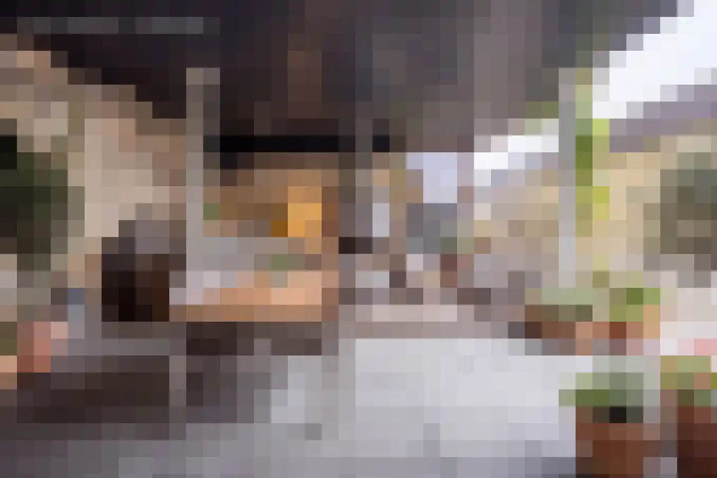 Klein Belgie 73 B1 Vijfhuizen thumbnail 45
