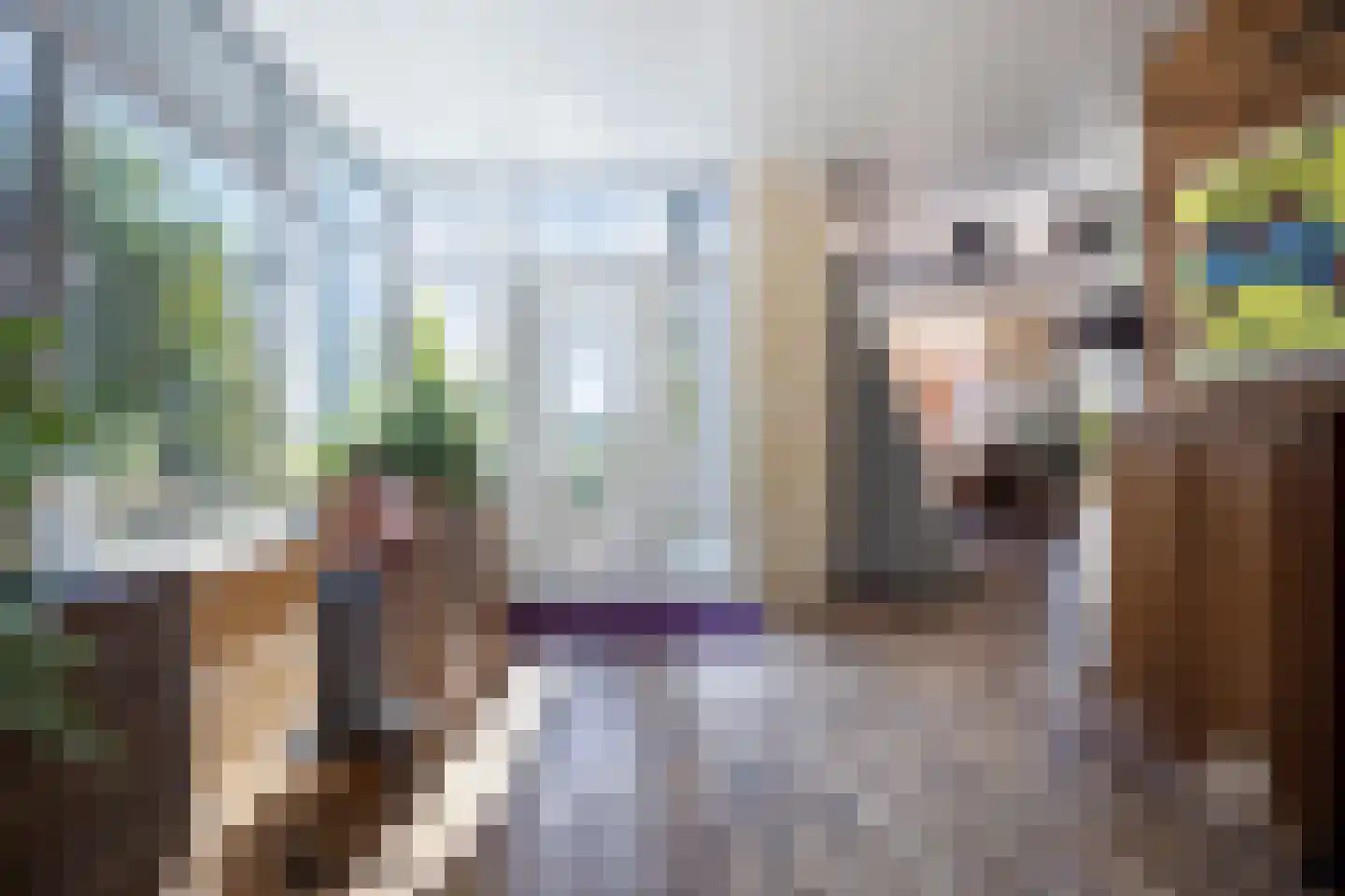 Klein Belgie 73 B1 Vijfhuizen thumbnail 9