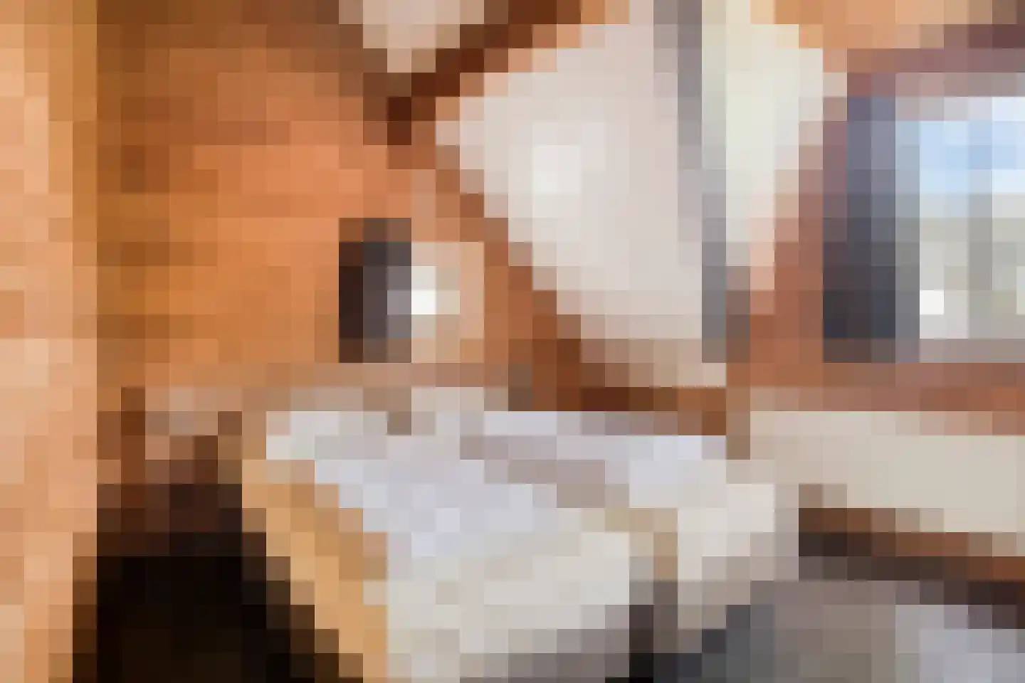 Klein Belgie 75 329 Vijfhuizen thumbnail 11