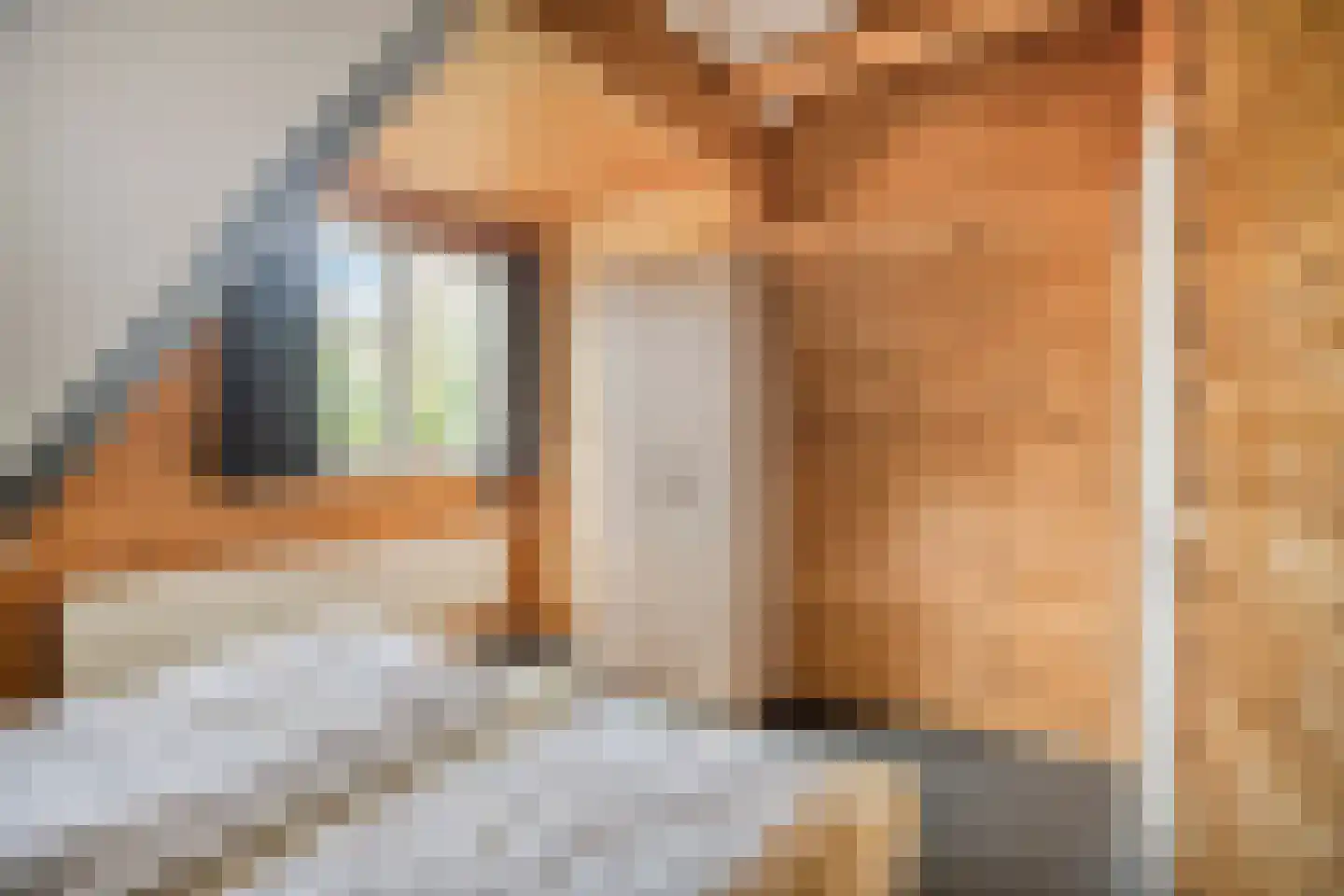 Klein Belgie 75 329 Vijfhuizen thumbnail 12