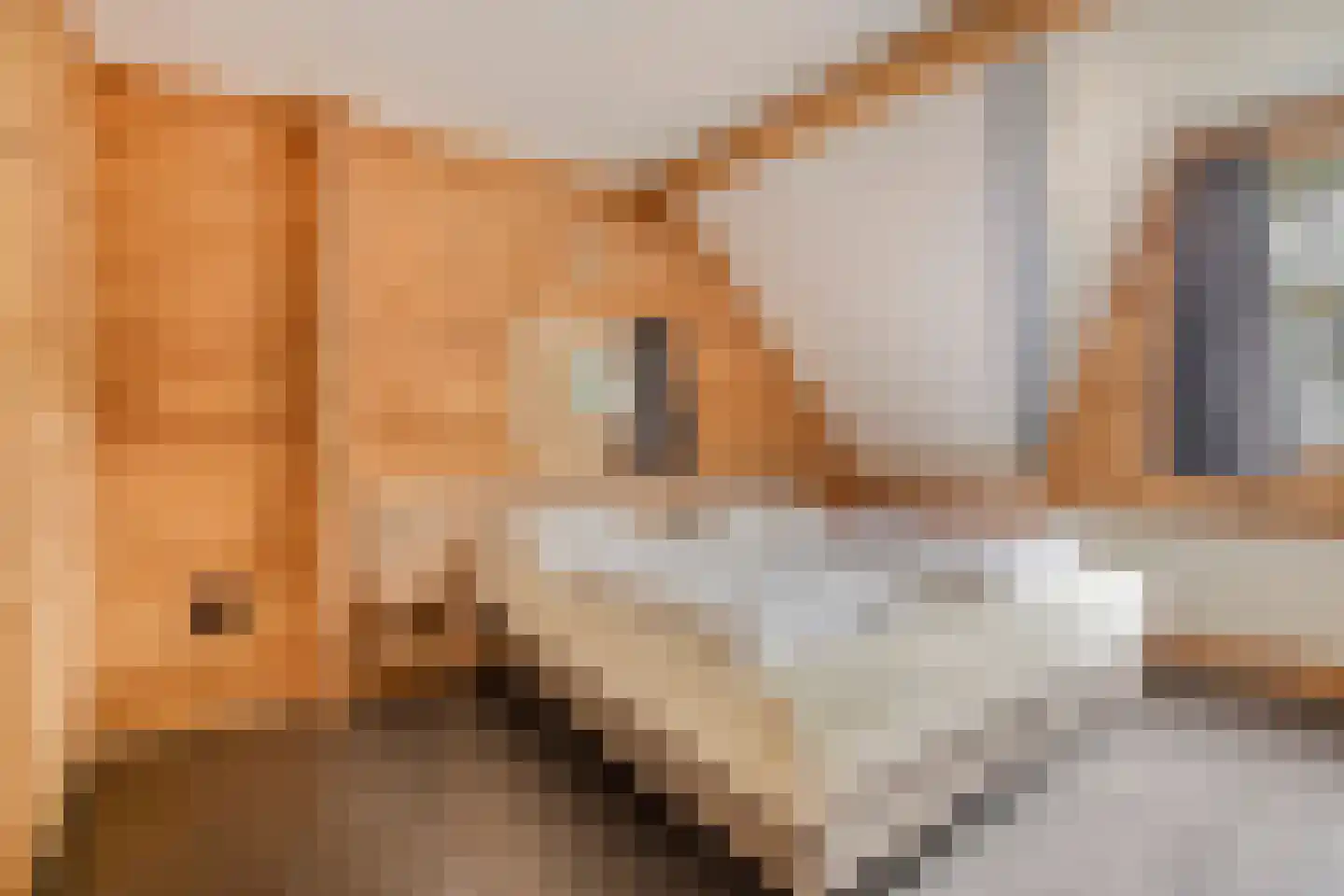 Klein Belgie 75 329 Vijfhuizen thumbnail 13