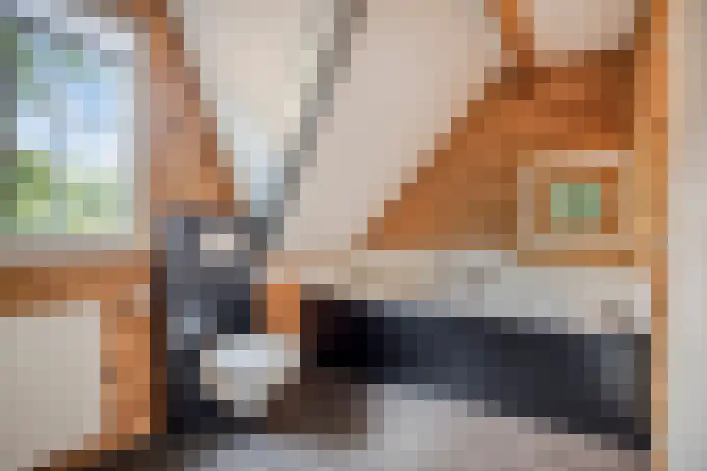 Klein Belgie 75 329 Vijfhuizen thumbnail 18