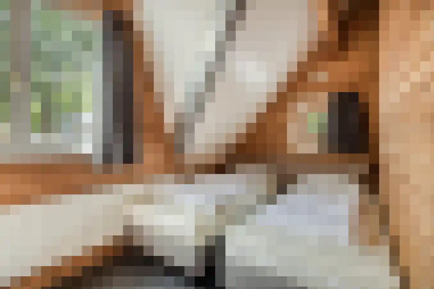 Klein Belgie 75 329 Vijfhuizen thumbnail 19