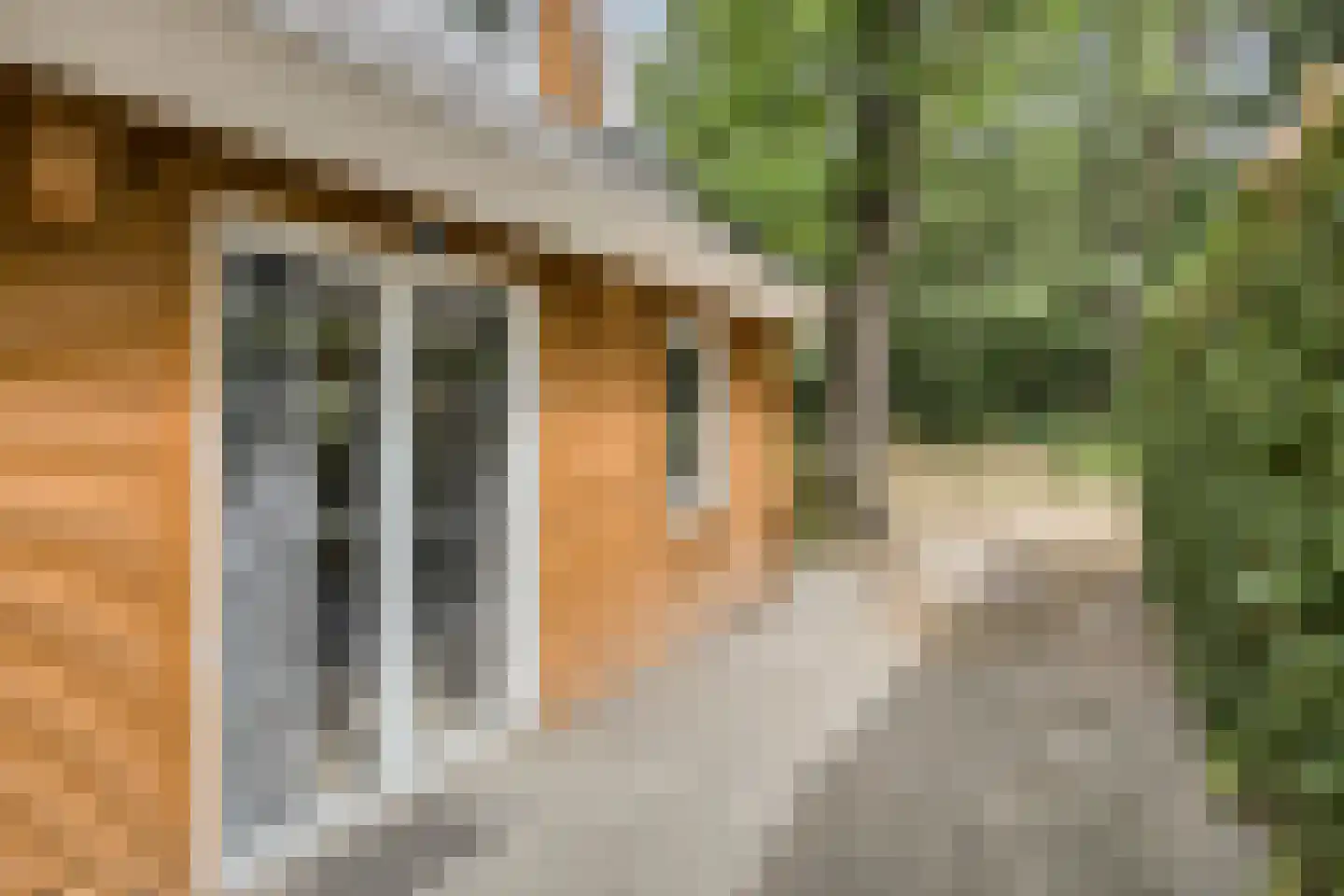 Klein Belgie 75 329 Vijfhuizen thumbnail 20