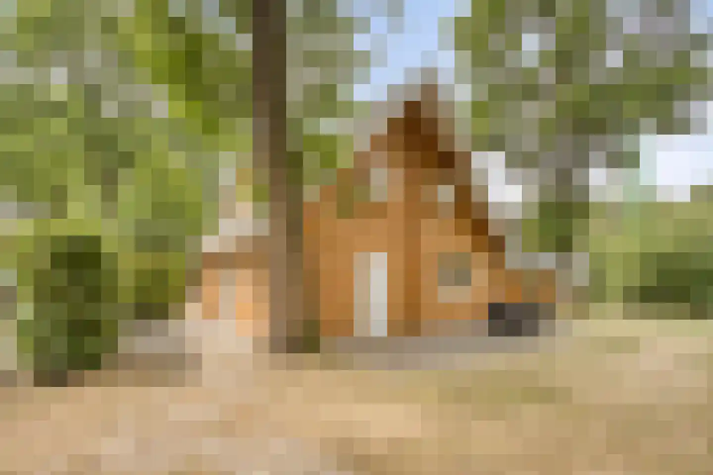 Klein Belgie 75 329 Vijfhuizen thumbnail 22