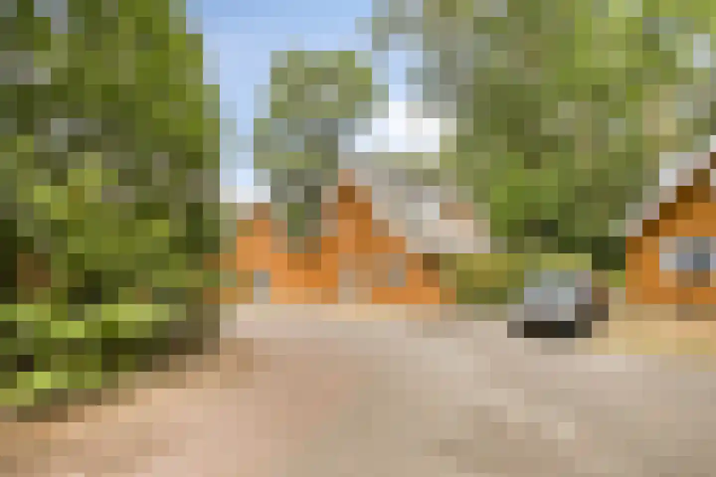 Klein Belgie 75 329 Vijfhuizen thumbnail 23